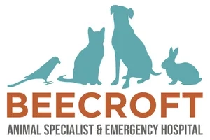 SEO合作客戶-BEECROFT